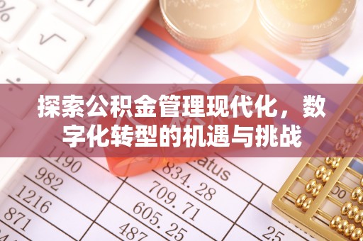 鄯善探索公积金管理现代化，数字化转型的机遇与挑战