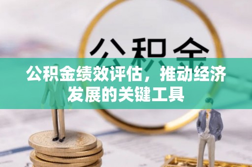 鄯善公积金绩效评估，推动经济发展的关键工具