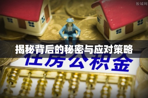 鄯善揭秘背后的秘密与应对策略
