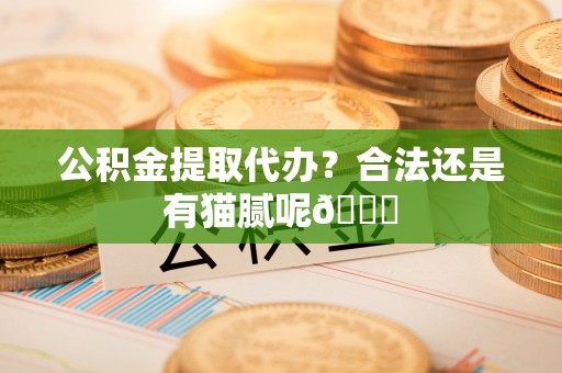 鄯善公积金提取代办？合法还是有猫腻呢😏